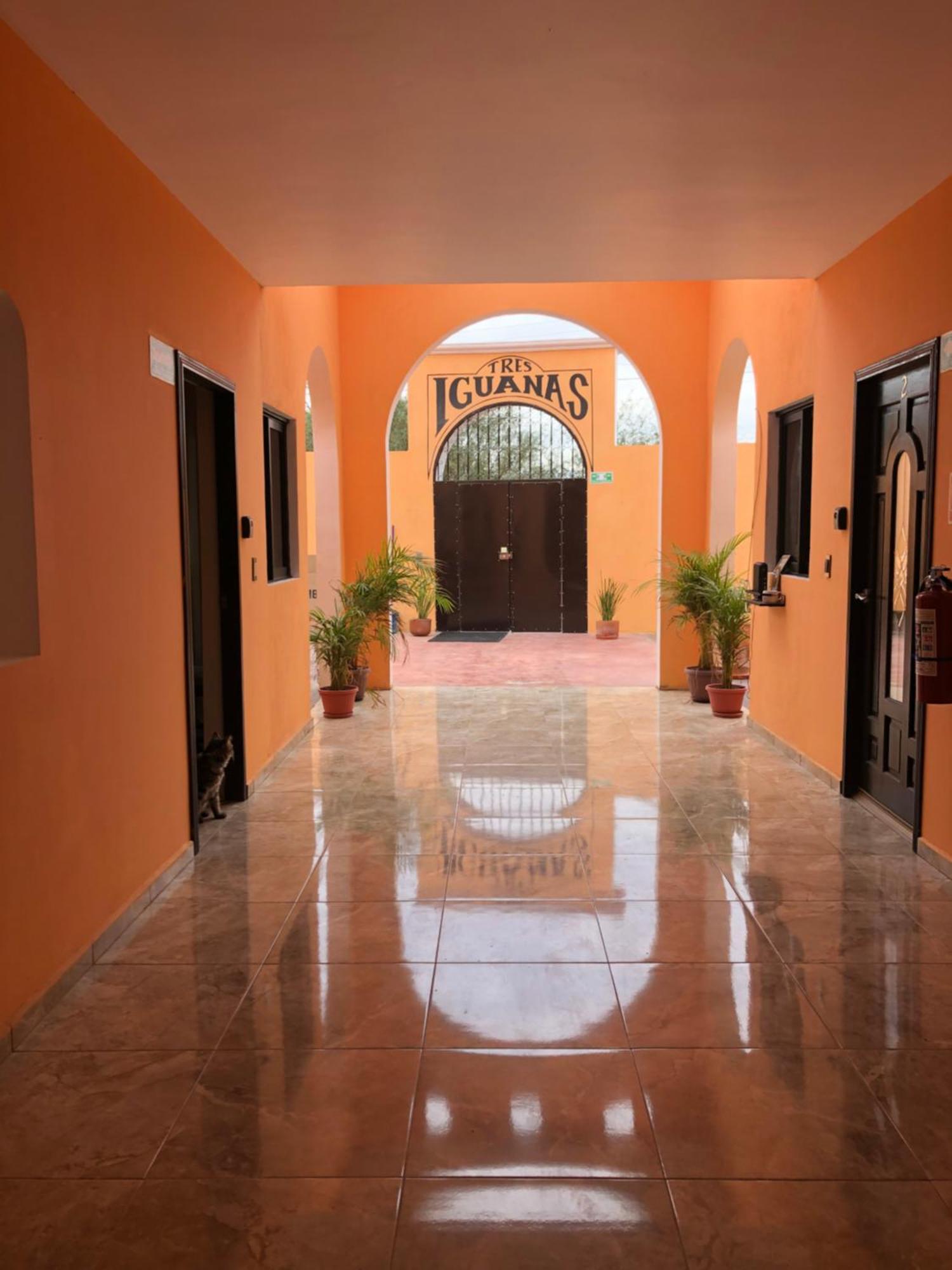Tres Iguanas Apart Hotel - New, Cozy & Spacious Flats, Short Walk To Beach Лорето Экстерьер фото