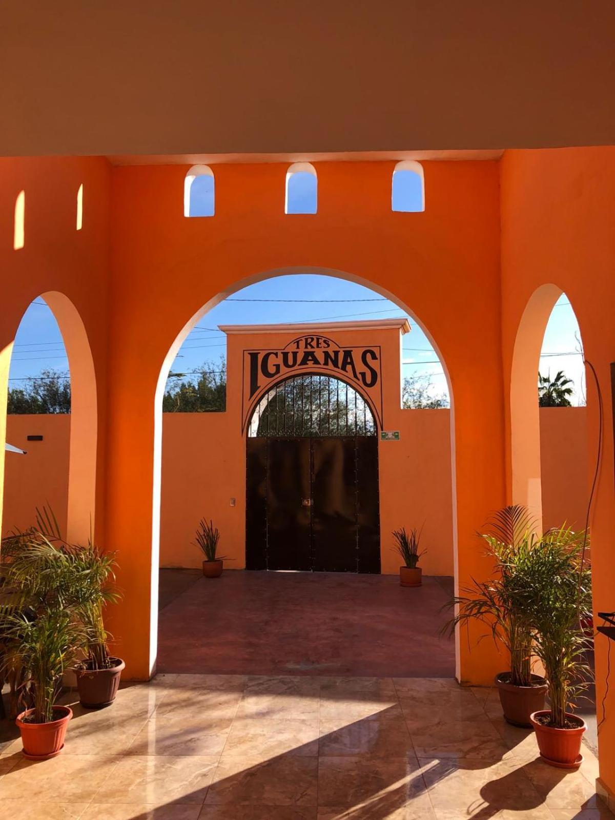 Tres Iguanas Apart Hotel - New, Cozy & Spacious Flats, Short Walk To Beach Лорето Экстерьер фото