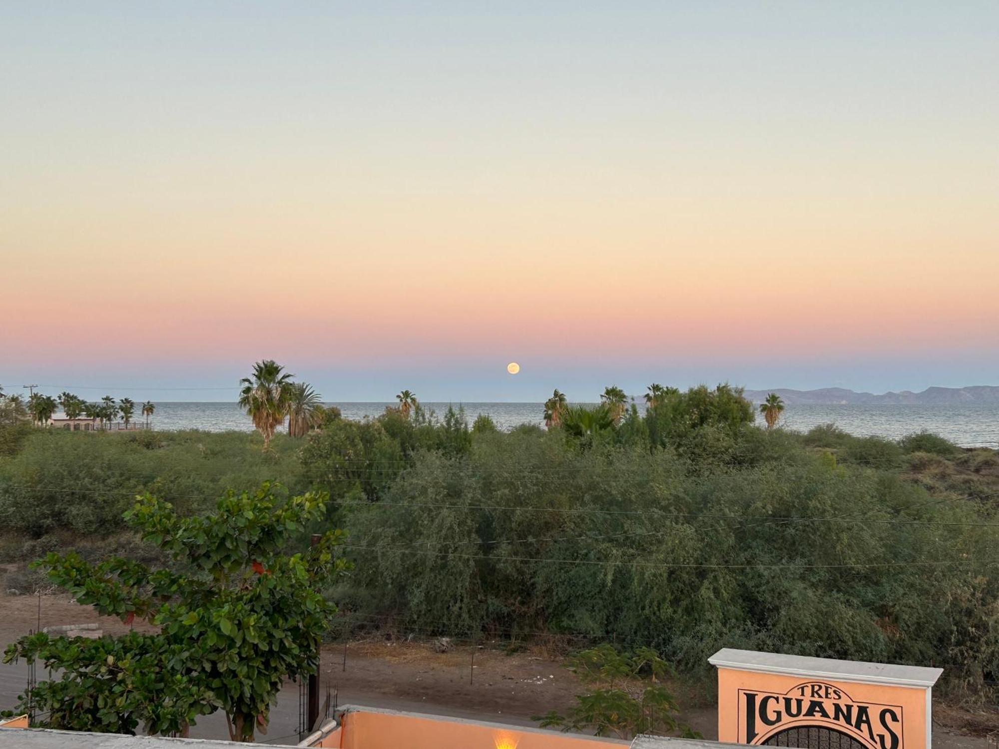 Tres Iguanas Apart Hotel - New, Cozy & Spacious Flats, Short Walk To Beach Лорето Экстерьер фото